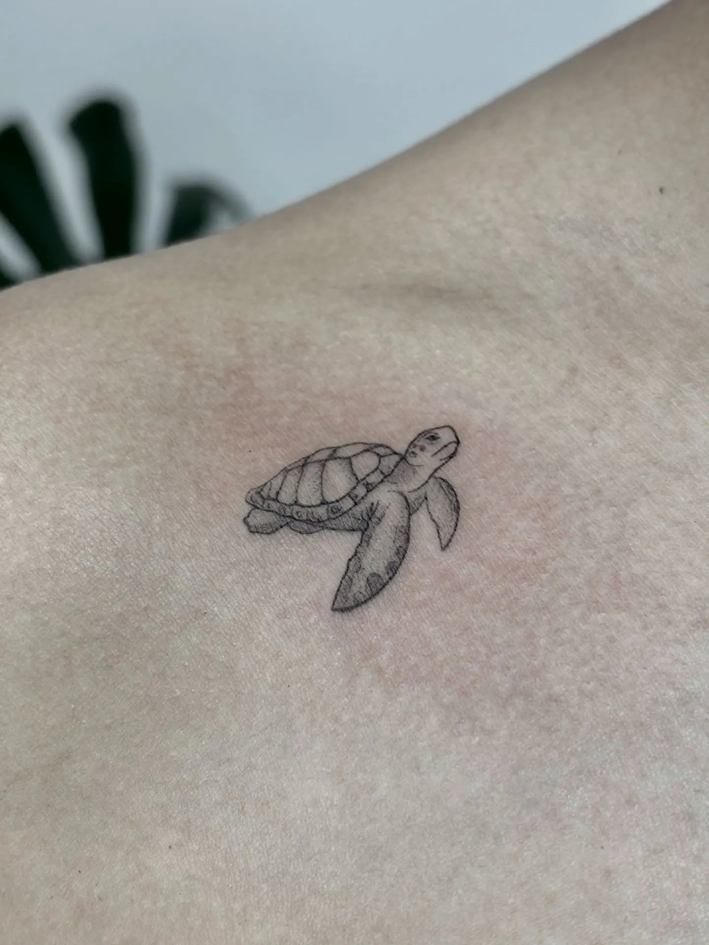 Pequeña Viajera - Micro-realismo / Fineline